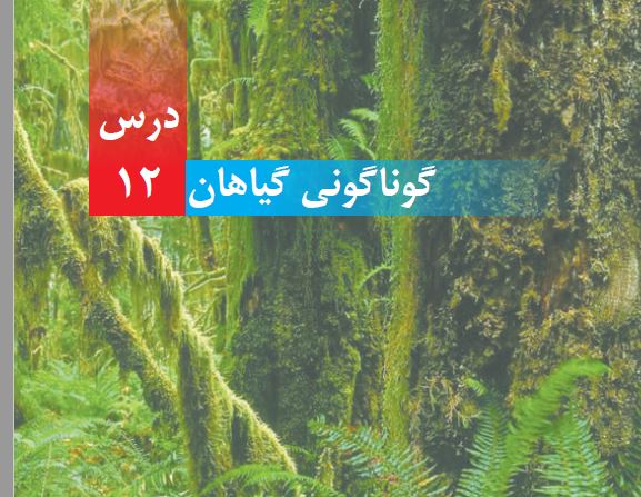 پاورپوینت علوم دبستان مبحث  گوناگونی گیاهی (تحقیق دانش آموزی)